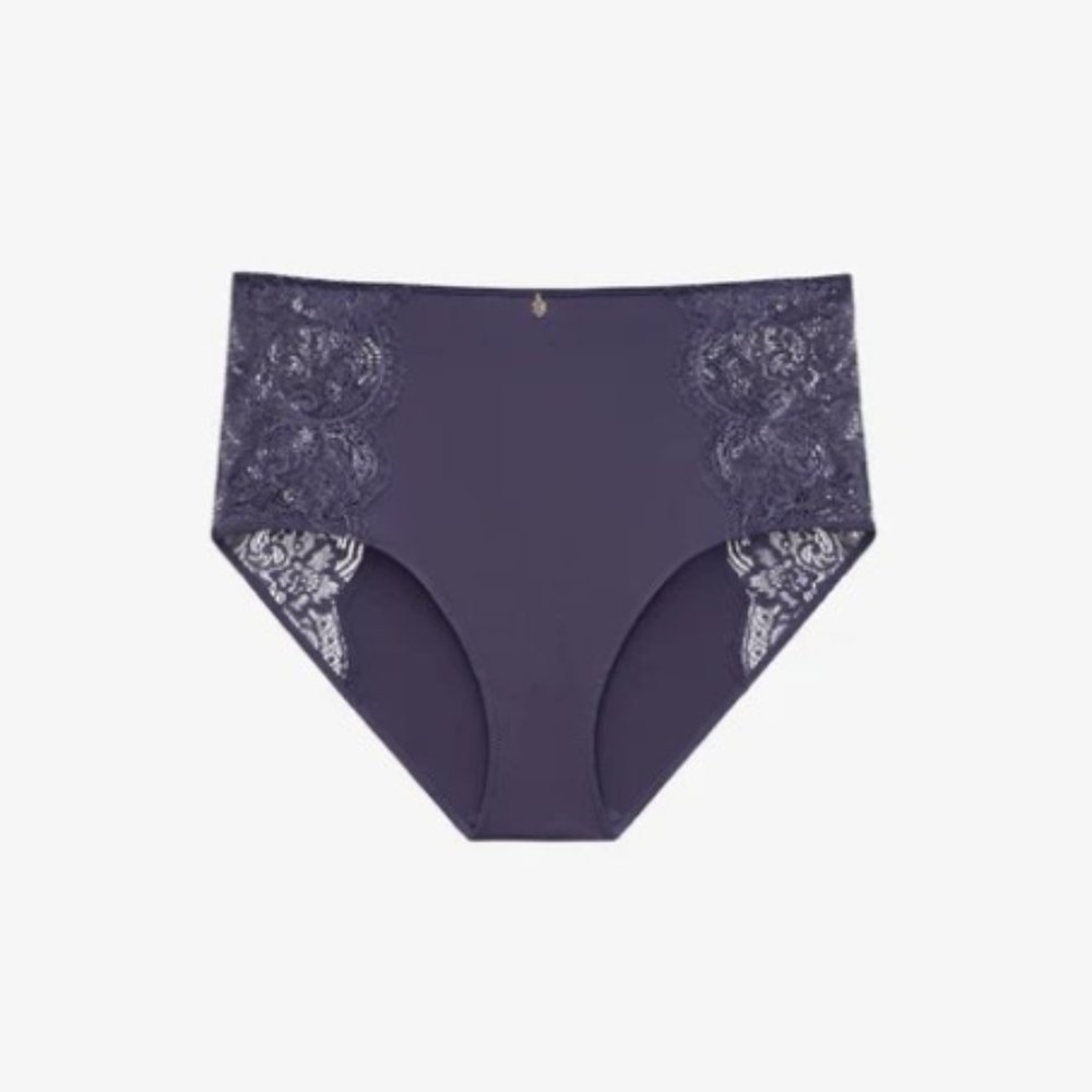 NWT ThirdLove Lace High Brief in Graystone